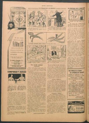 El gran peligro de los domadores
