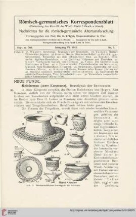 6: Reichenau (Amt Konstanz) : Brandgrab der Bronzezeit