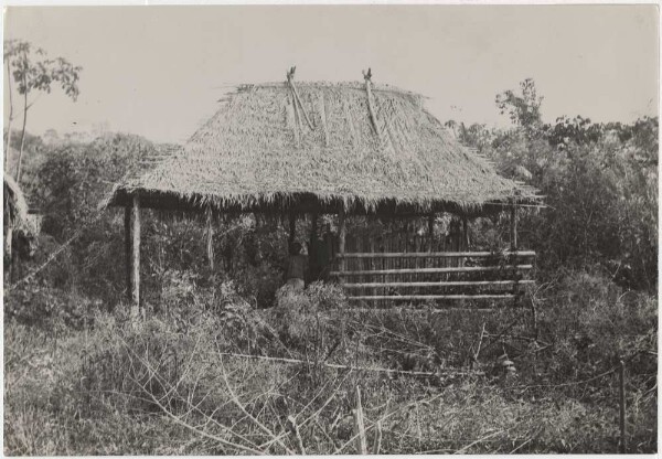 House of the Abitana-Huanyam with burial site