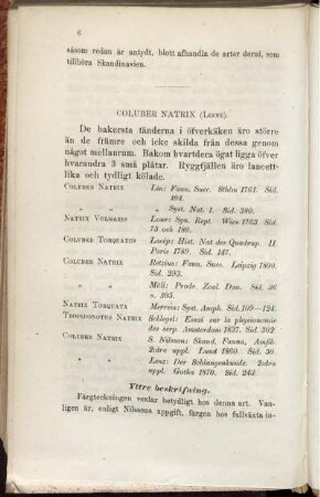 Coluber Natrix (Linné)