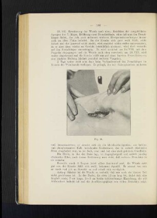 Fig. 38.