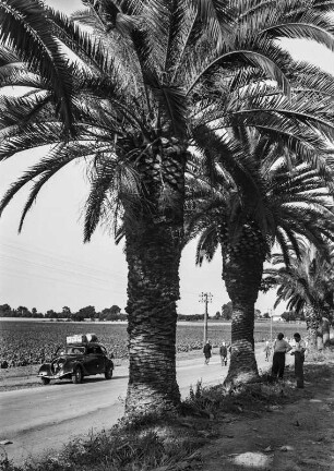 Küstenstraße : Blick auf eine Küstenstraße nahe Bejaia