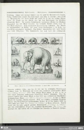 Plakat für einen dressierten Elefanten