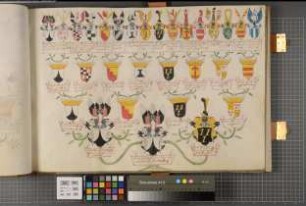 Proband: Weichs, Clemens August von; Vater: Weichs, Friedrich Ernst von; Mutter: Brabeck, Maria Anna von: Westfalen, Hzgtm, Ritterschaft