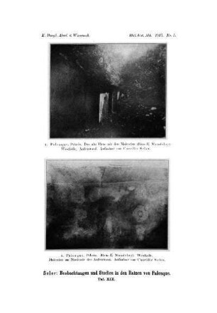 Taf. XIX. - [Palenque, Palacio, das alte Haus mit den Malereien, Westhalle, Außenwand und Malereien am Nordende der Außenwand.]