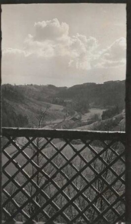 Vogtland, Talhang der Weißen Elster nahe Jocketa. Blick zur umwaldeten Ruine