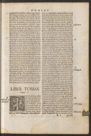Liber Tobiae.