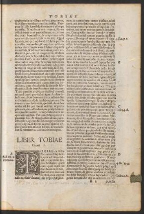 Liber Tobiae.