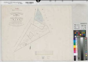 Stadtlohn (Stadtlohn), Teilung der Estern-Bürenschen Mark, Bl.1 Reinkarte