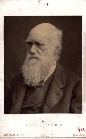 [Portrait of Charles Darwin]