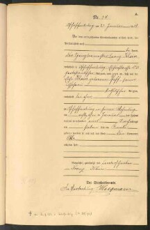Standesamtsbuch der Stadt Aschaffenburg: Geburten 365/1900 - 184/1901