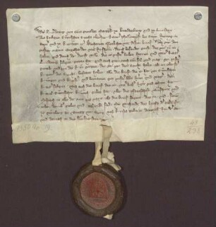 Markgraf Ludwig von Brandenburg bestätigt die Briefe, die Engelhard von Hirschhhorn von Kaiser Ludwig und König Karl über die Pfandschaften Sinsheim und Mosbach erhalten hat.