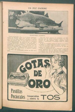 Un pez enorme