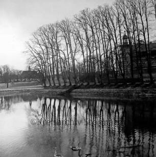 Schlosspark: Blick über Schlossgraben auf Schlossinsel: Baum umgestürzt: hinten rechts Schloss mit Gerüst: im Hintergrund links Gottesbuden, Schlosskirche