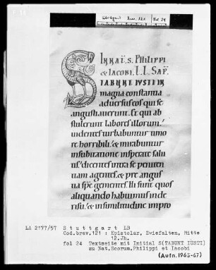 Festepistolar — Initiale S (tabunt iusti) aus einem Phantasievogel, Folio 24recto