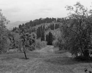 Garten der Villa Capponi