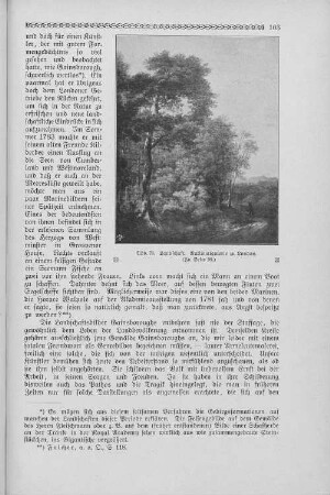 Abb. 79. Landschaft. Nationalgalerie zu London. (Zu Seite 98.)