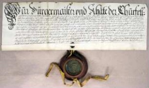 München, 1699.01.09. Geburtsbrief für den Glaser Philipp Jakob Ättenkhover von München. Aussteller: Stadt