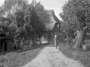 mit Reet gedecktes Fachwerkbauernhaus