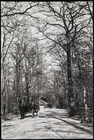 Paris. Bois de Boulogne