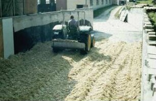 Fotografie: Ein- und Auslagerungstechnik, Flachsilo, Fahrsilo, Maissilage, Walzen