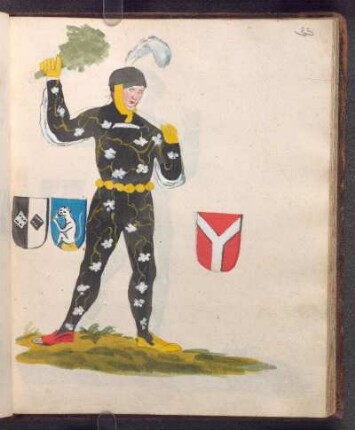 Schembartläufer, Wappen