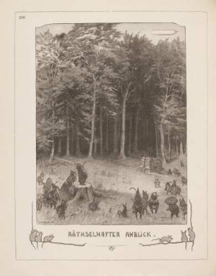 "Räthselhafter Anblick"
