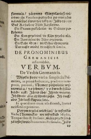 De Pronominibus