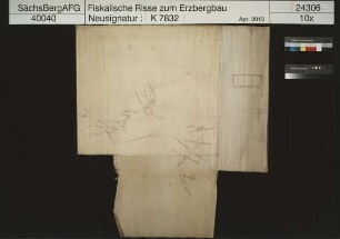 Liese und Grüne Tanne am Auersberg (Wildenthal)