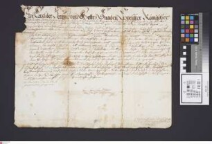 Airlenbach: Kaiserliche Kammergerichts-Entscheidung vom 13. Januar 1736