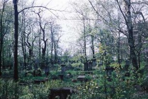 Dresden-Altstadt, Ziegelstraße. Eliasfriedhof. Blick über Grabmale
