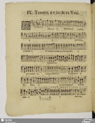 IX. Resonet organa