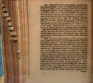Neṣîv melaḥ, ad Genes. cap. XIX. de statua salis et Lothi ex Sodoma egressu dissertatio