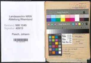 Entnazifizierung Johann Pesch , geb. 10.03.1894 (Mechaniker)