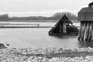 Niedrigwasser des Rheins