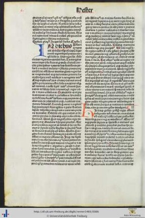 Liber Hester