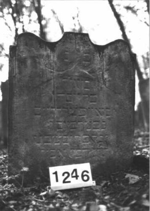 Grabstein 1246 (Index: 99900050) Material: Sandstein Zustand: stark verwittert Maße HxBxT: 82x69x7 cm Beschreibung: Stele mit geschweiftem Schulterbogenabschluss, im Bogenfeld Ranken Symbolik: Ranken: Grabstein 1246