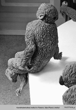 Affenweibchen mit Frucht (?) in rechter Pfote - Fontana delle Scimmie