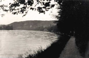 Rheinpromenade