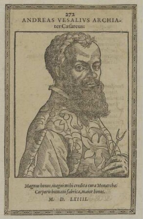 Bildnis des Andreas Vesalius