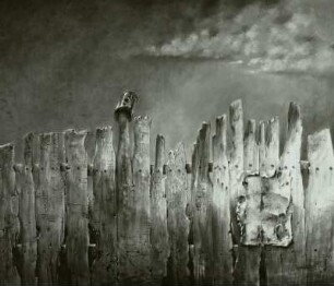 Der Zaun