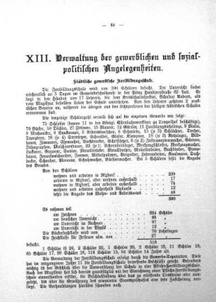 XIII. Verwaltung der gewerblichen und sozialpolitischen Angelegenheiten