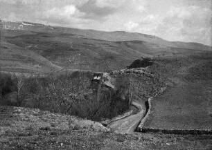 Feldweg-Antilibanon
