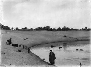 Heiliger See : Heiliger See am Tempel von Karnak. Im See und am Ufer zahme Büffel.