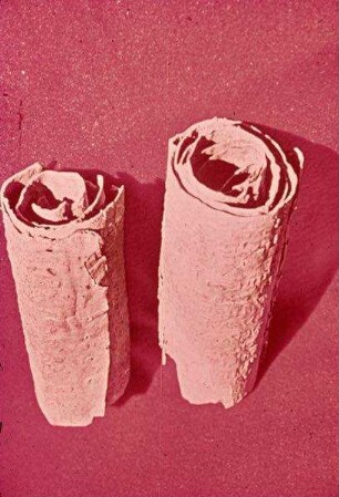 [Qumran] Rollen