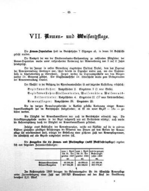 VII. Armen- und Waisenpflege