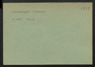 Waizenegger, Johannes