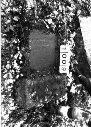 Grabstein 1009