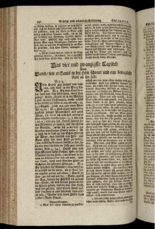 Das vier und zwanzigste Capitel