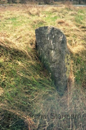 Heide (Kreis Dithmarschen): Hochfeld: Grenzstein